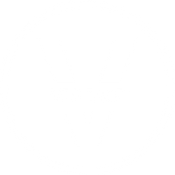 VERITACE 보증