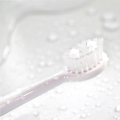 Spotlight Oral Care Toothpaste for Rebuilding Teeth